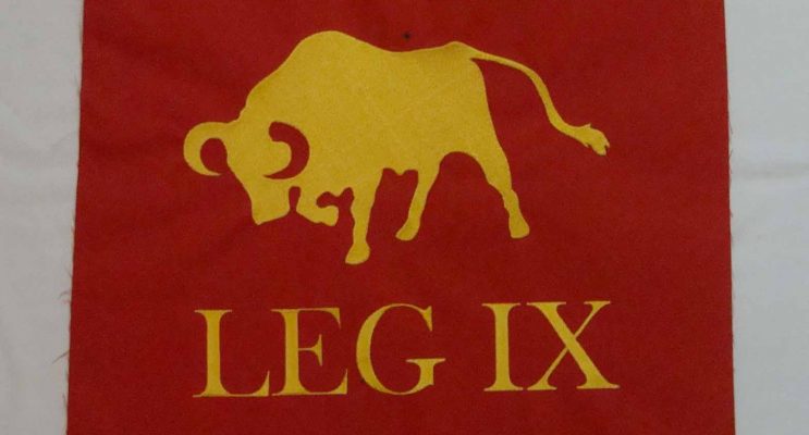 Red and yellow bull logo pennants